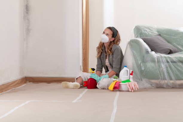 Trusted Mold Removal service in Greenville, IL - WQB Mold Removal